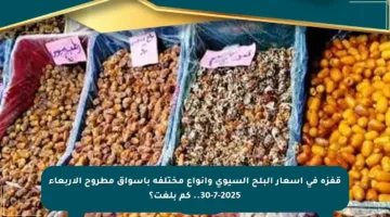 قفزة في أسعار البلح السيوي وأنواع مختلفة بأسواق مطروح الأربعاء 30-7-2025.. كم بلغت؟